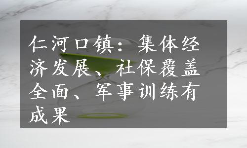 仁河口镇：集体经济发展、社保覆盖全面、军事训练有成果