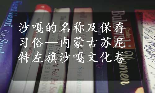 沙嘎的名称及保存习俗—内蒙古苏尼特左旗沙嘎文化卷