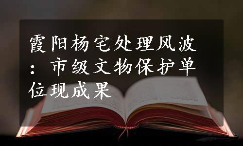 霞阳杨宅处理风波：市级文物保护单位现成果