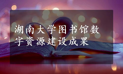 湖南大学图书馆数字资源建设成果