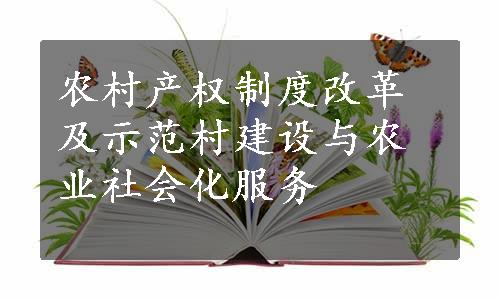 农村产权制度改革及示范村建设与农业社会化服务