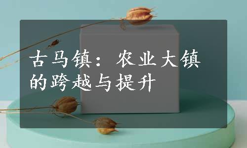 古马镇：农业大镇的跨越与提升