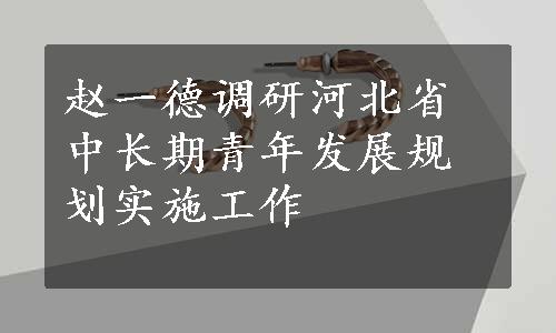 赵一德调研河北省中长期青年发展规划实施工作