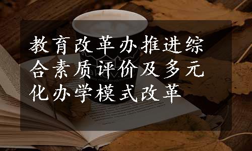 教育改革办推进综合素质评价及多元化办学模式改革