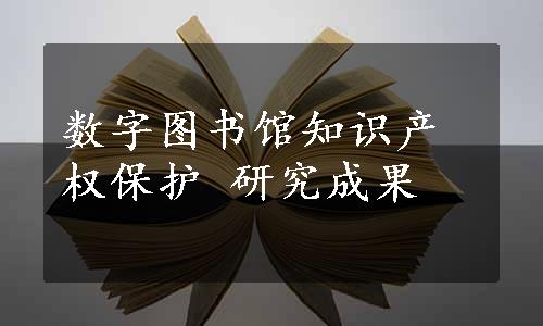 数字图书馆知识产权保护 研究成果