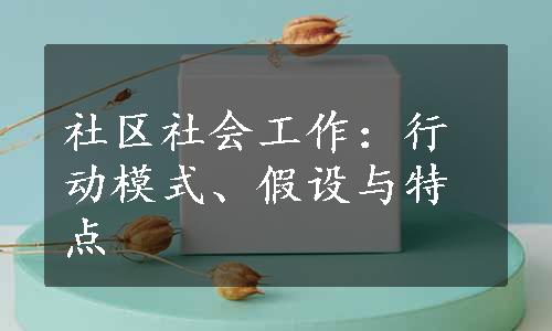 社区社会工作：行动模式、假设与特点