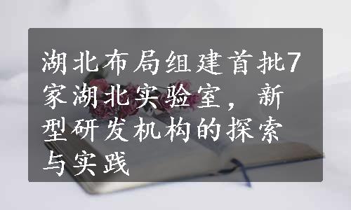 湖北布局组建首批7家湖北实验室，新型研发机构的探索与实践