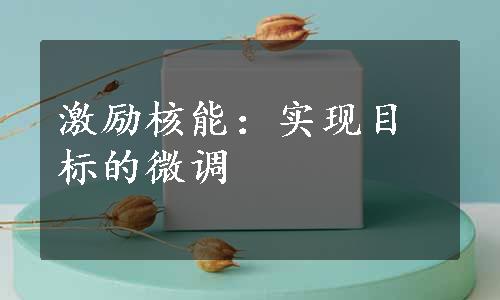 激励核能：实现目标的微调