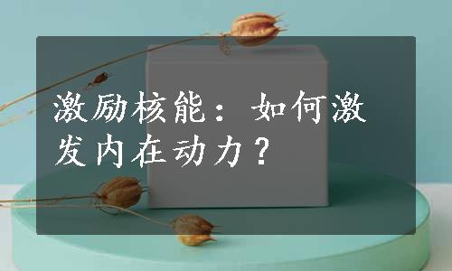 激励核能：如何激发内在动力？