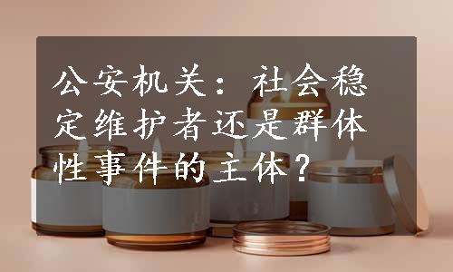 公安机关：社会稳定维护者还是群体性事件的主体？