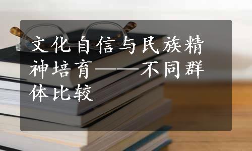 文化自信与民族精神培育——不同群体比较