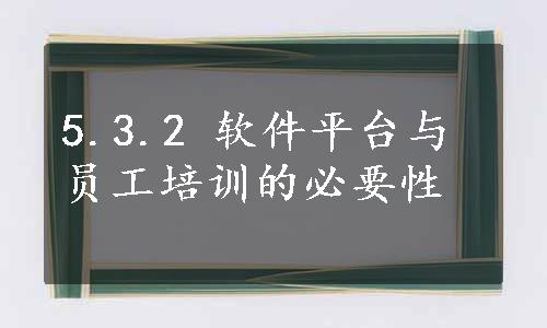 5.3.2 软件平台与员工培训的必要性