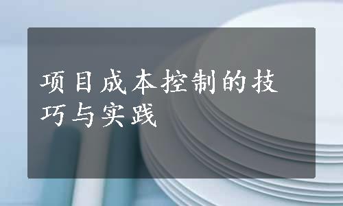 项目成本控制的技巧与实践