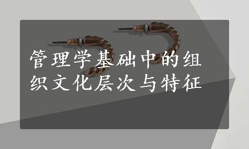 管理学基础中的组织文化层次与特征