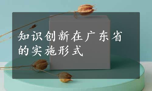 知识创新在广东省的实施形式