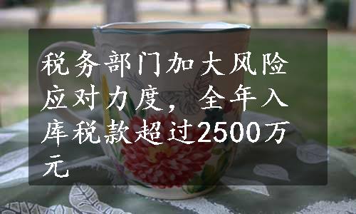 税务部门加大风险应对力度，全年入库税款超过2500万元