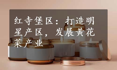 红寺堡区：打造明星产区，发展黄花菜产业