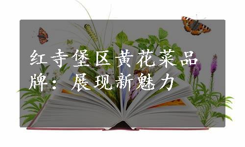 红寺堡区黄花菜品牌：展现新魅力