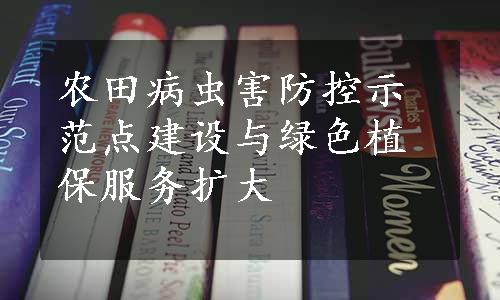 农田病虫害防控示范点建设与绿色植保服务扩大
