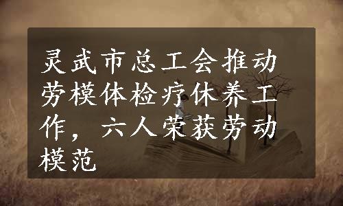 灵武市总工会推动劳模体检疗休养工作，六人荣获劳动模范