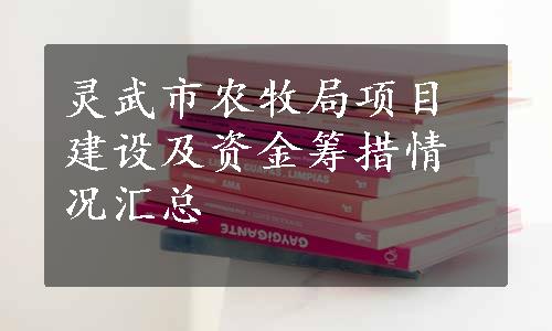 灵武市农牧局项目建设及资金筹措情况汇总