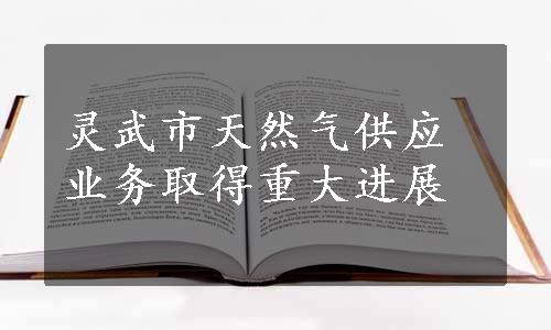 灵武市天然气供应业务取得重大进展