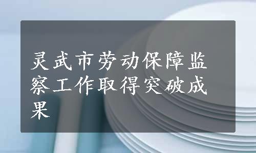 灵武市劳动保障监察工作取得突破成果