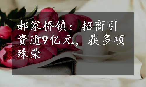 郝家桥镇：招商引资逾9亿元，获多项殊荣