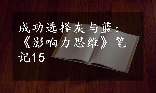 成功选择灰与蓝：《影响力思维》笔记15