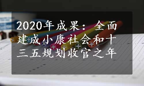 2020年成果：全面建成小康社会和十三五规划收官之年