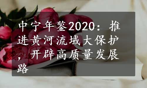 中宁年鉴2020：推进黄河流域大保护，开辟高质量发展路