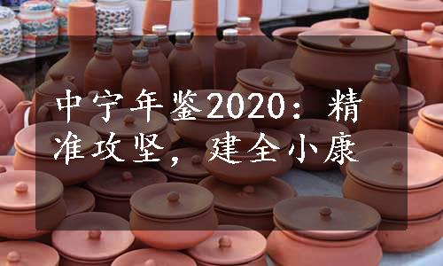 中宁年鉴2020：精准攻坚，建全小康