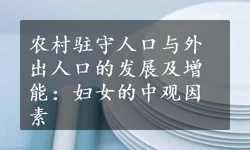 农村驻守人口与外出人口的发展及增能：妇女的中观因素