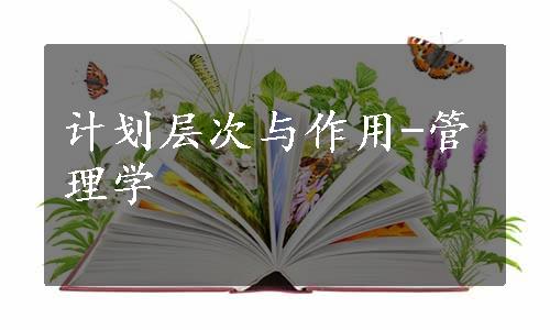 计划层次与作用-管理学