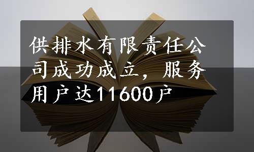 供排水有限责任公司成功成立，服务用户达11600户