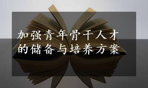 加强青年骨干人才的储备与培养方案