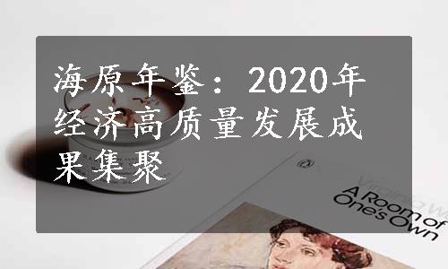 海原年鉴：2020年经济高质量发展成果集聚