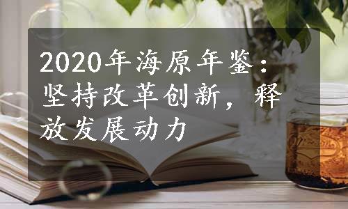 2020年海原年鉴：坚持改革创新，释放发展动力