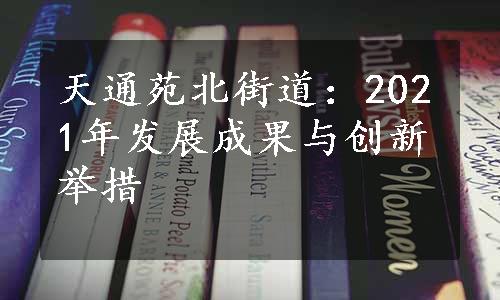 天通苑北街道：2021年发展成果与创新举措