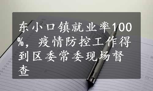 东小口镇就业率100%，疫情防控工作得到区委常委现场督查