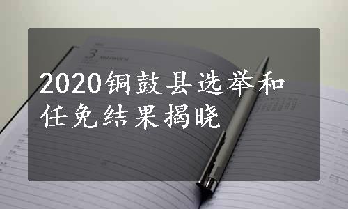 2020铜鼓县选举和任免结果揭晓