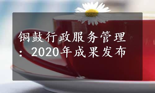 铜鼓行政服务管理：2020年成果发布