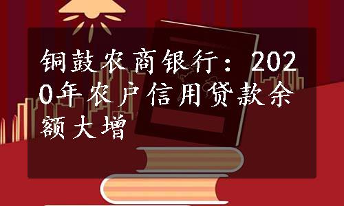 铜鼓农商银行：2020年农户信用贷款余额大增