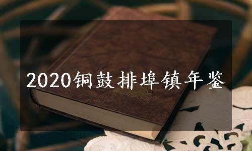 2020铜鼓排埠镇年鉴