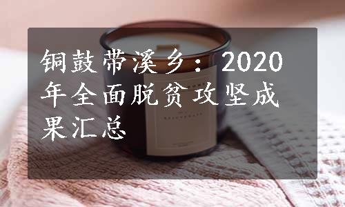 铜鼓带溪乡：2020年全面脱贫攻坚成果汇总