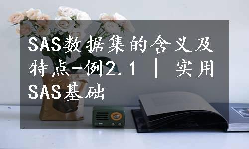 SAS数据集的含义及特点-例2.1 | 实用SAS基础