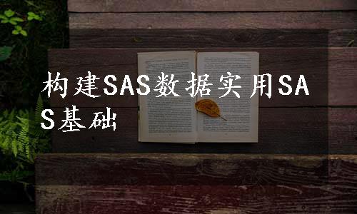 构建SAS数据实用SAS基础