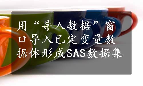 用“导入数据”窗口导入已定变量数据体形成SAS数据集