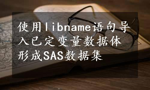 使用libname语句导入已定变量数据体形成SAS数据集