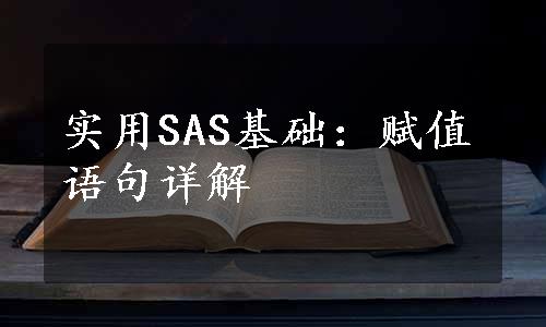 实用SAS基础：赋值语句详解